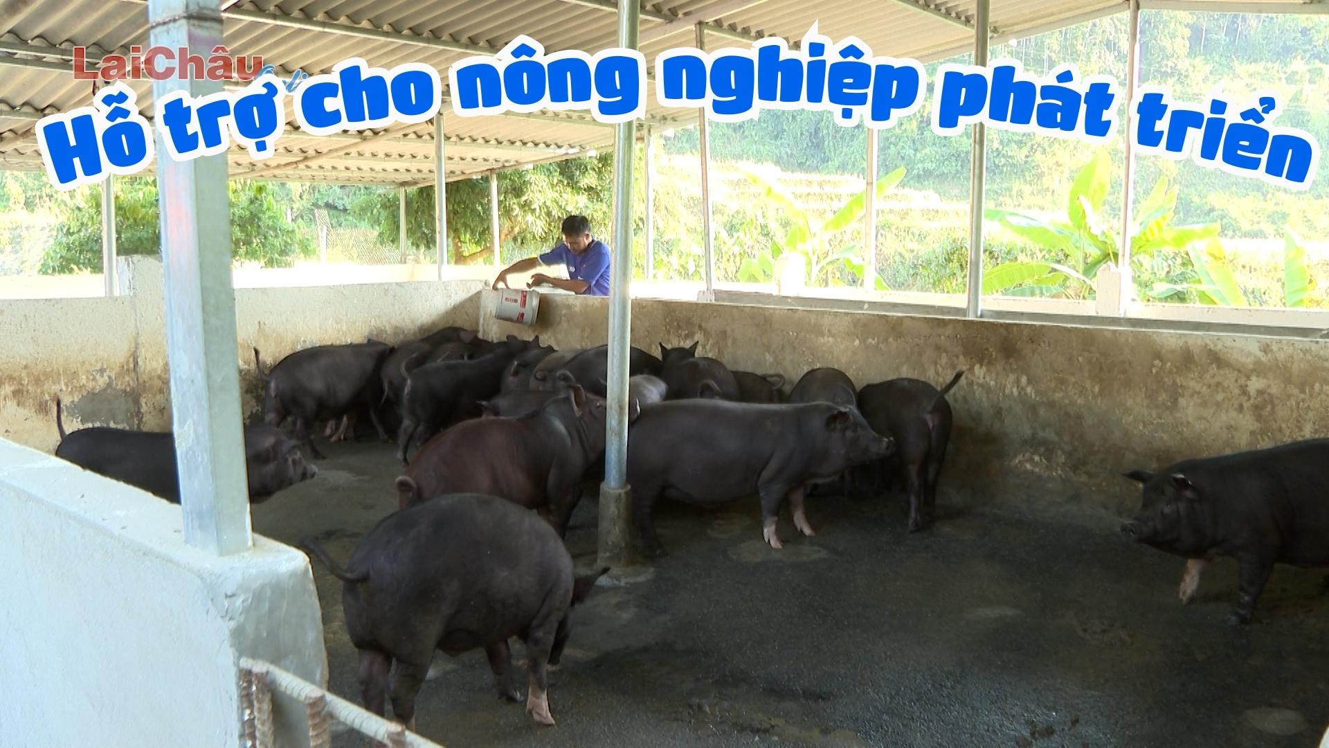 Hỗ trợ cho nông nghiệp phát triển