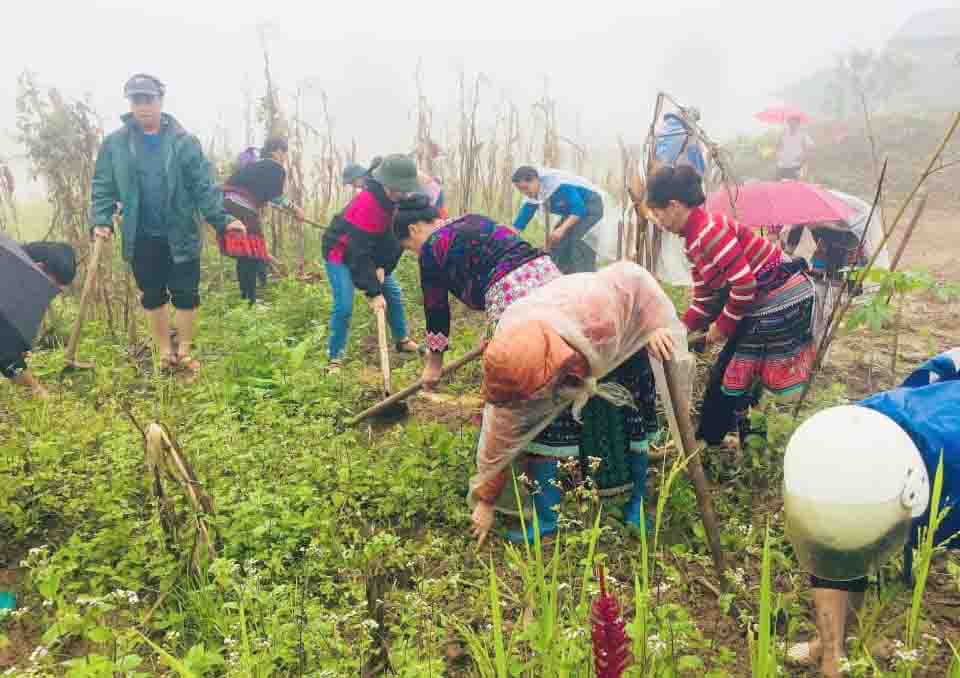 Các lực lượng giúp gia đình có công làm cỏ vườn.