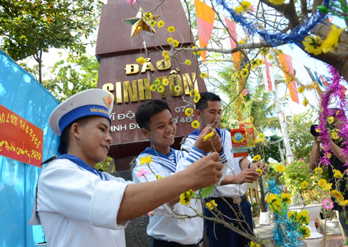 Chiến sỹ đảo Sinh Tồn, trang trí cây mai đón xuân.