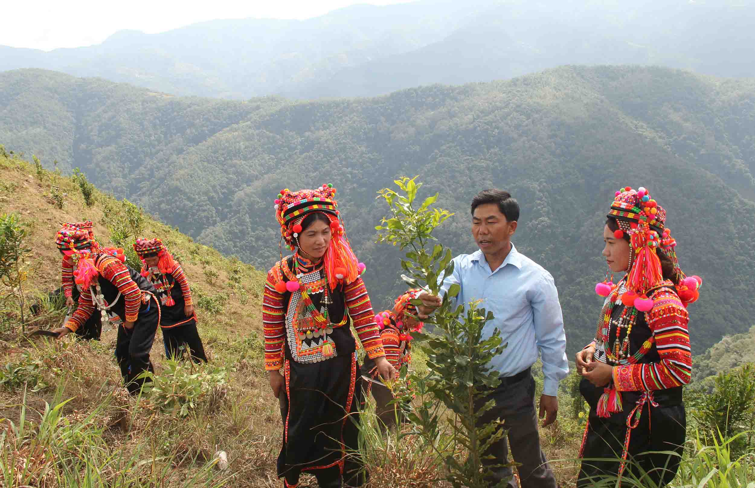 nông dân xã Thu Lũm chủ động chuyển đổi cơ cấu cây trồng