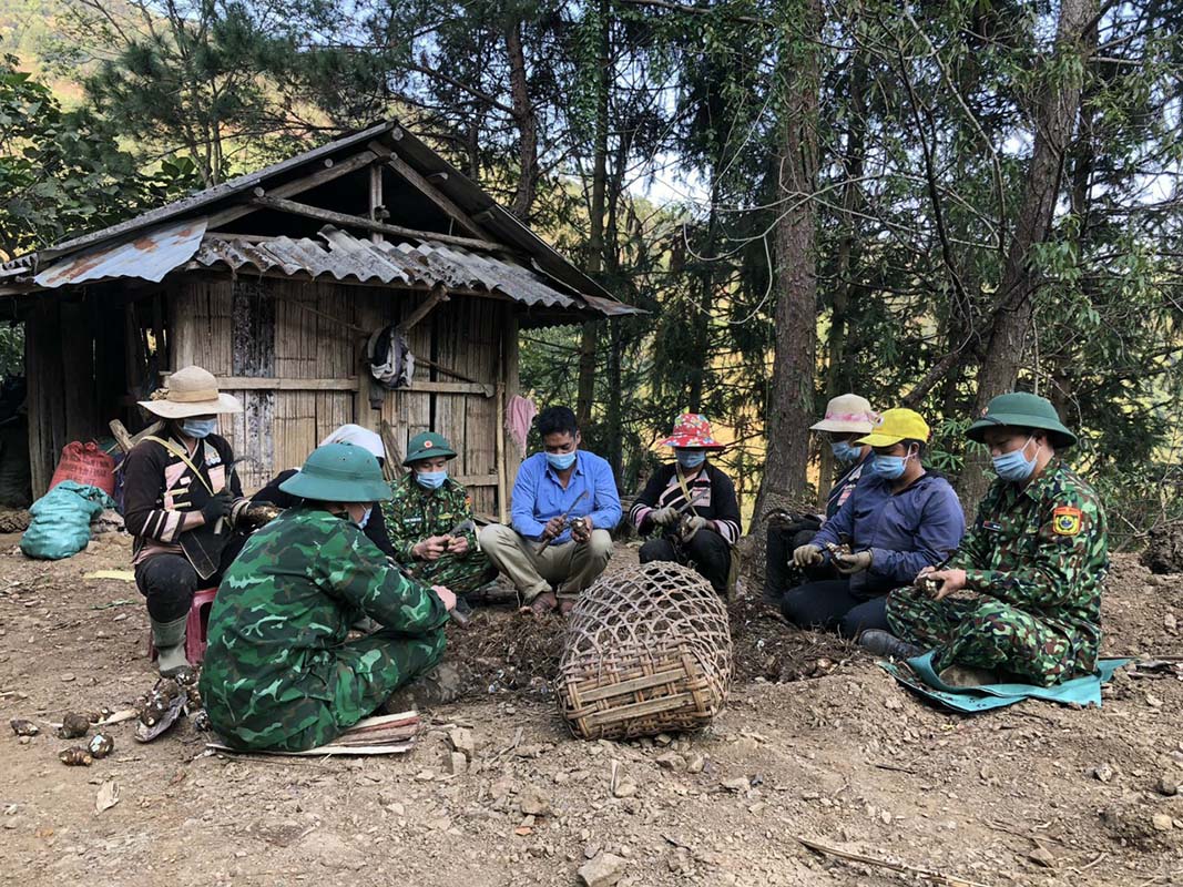 Cán bộ, chiến sỹ Đồn Biên phòng Huổi Luông giúp bà con trong xã thu hoạch nông sản.