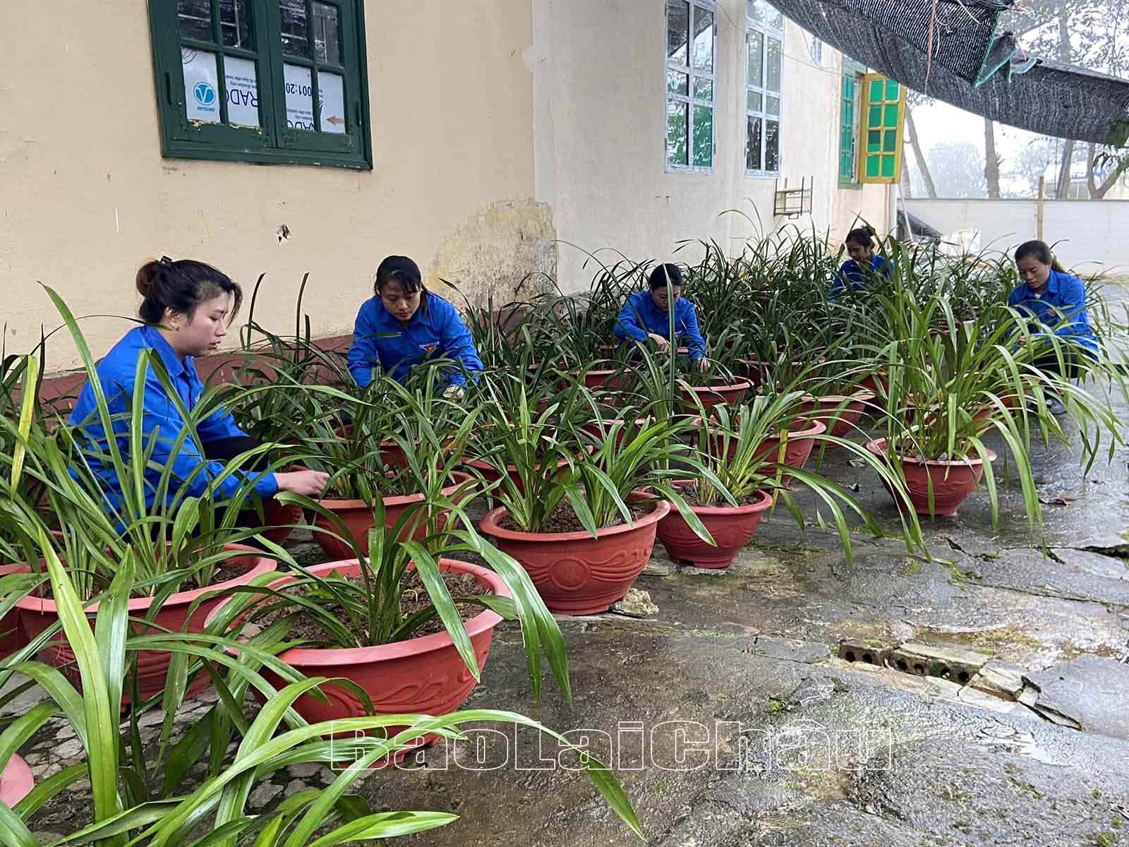 thuộc Quân khu 2