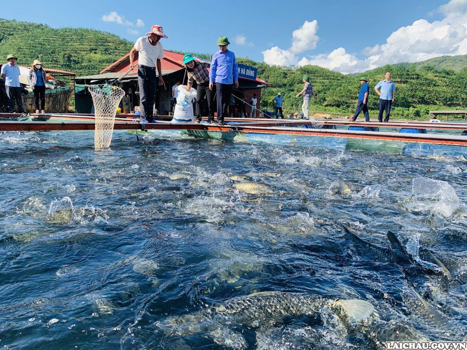 Các hộ dân phát triển nuôi cá lồng trên lòng hồ thủy điện.