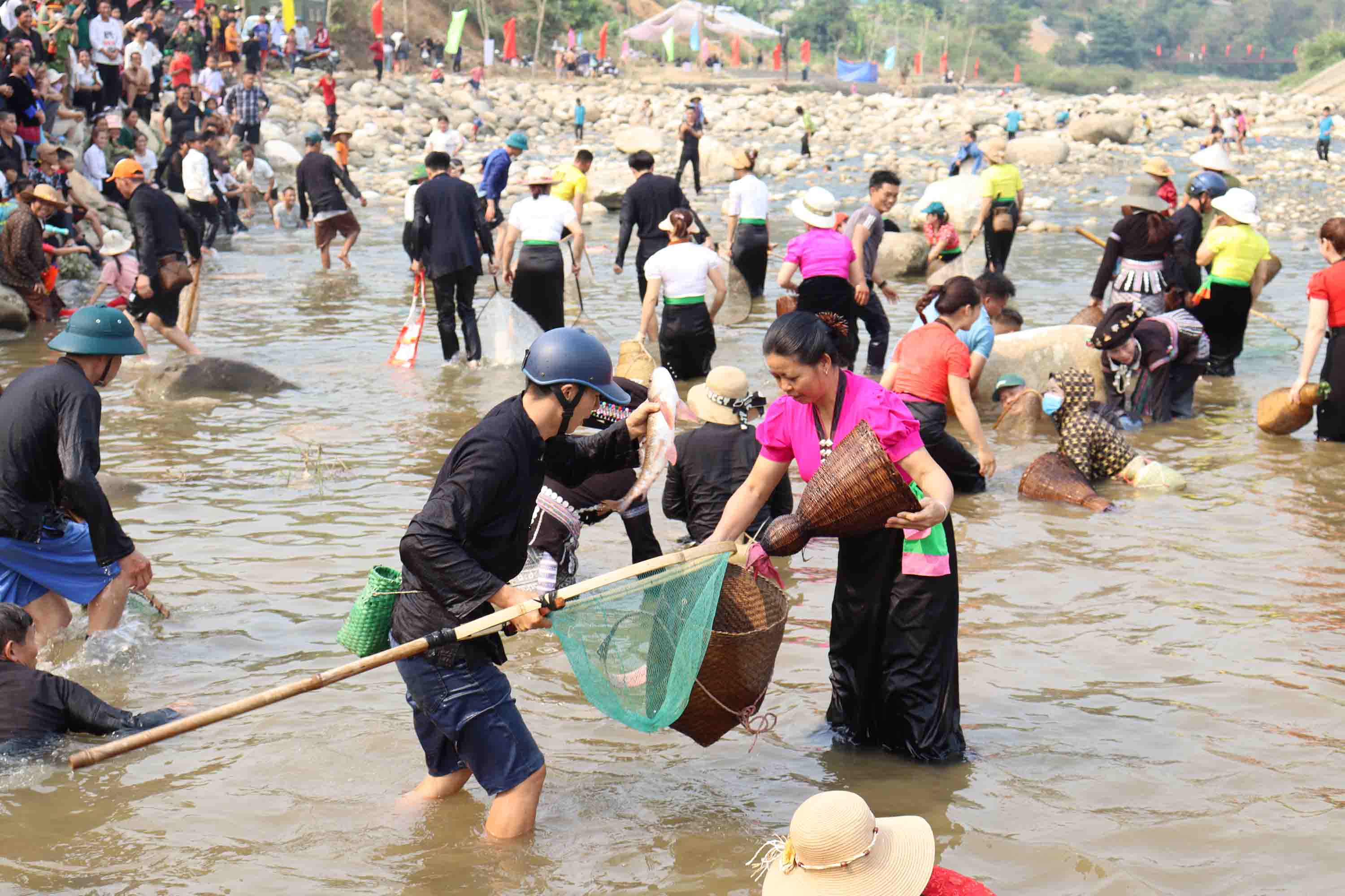 Các đội thi bắt cá.