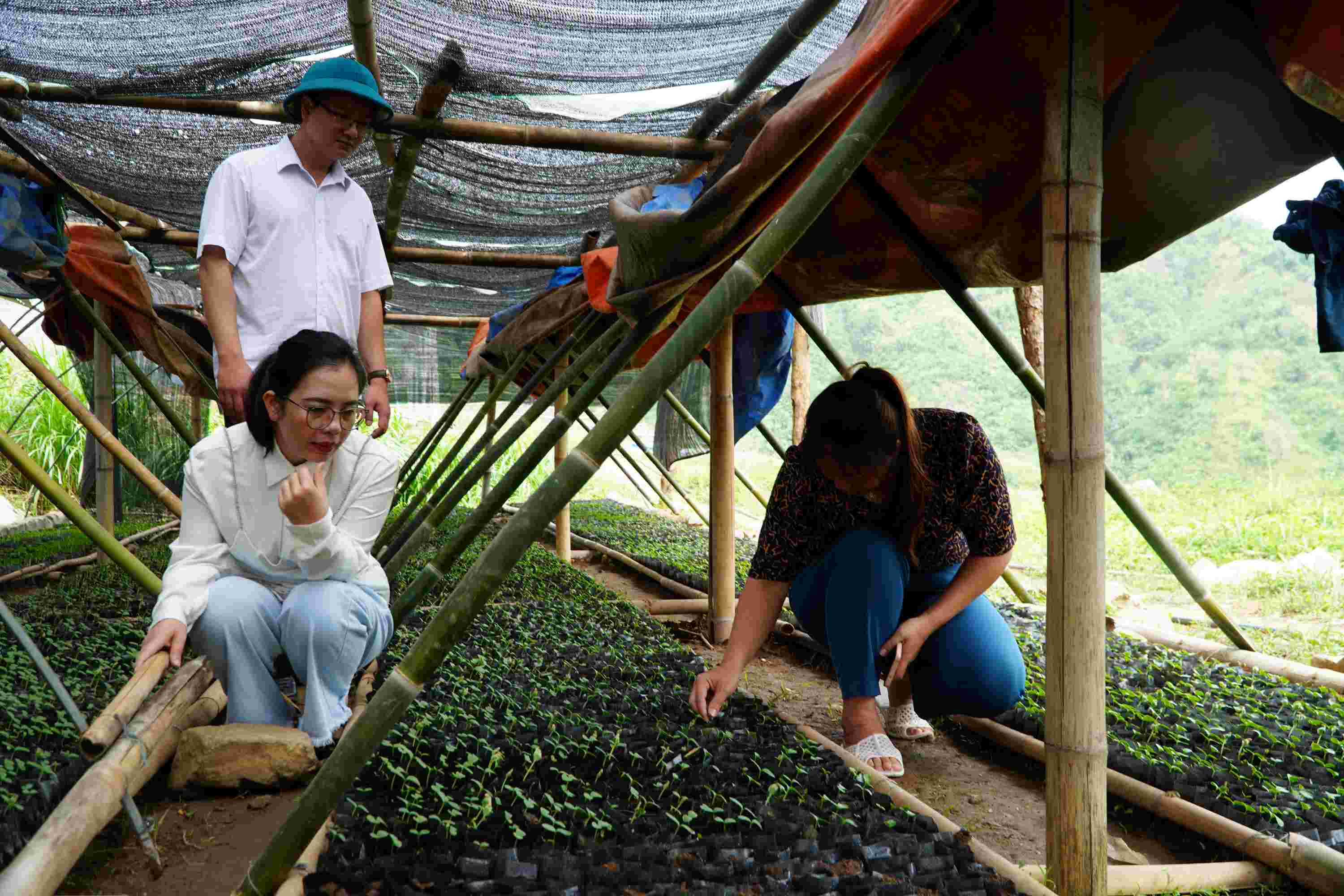 Đoàn thăm quan thực tế các mô hình phát triển kinh tế tại bản Nậm Manh, Nậm Manh.