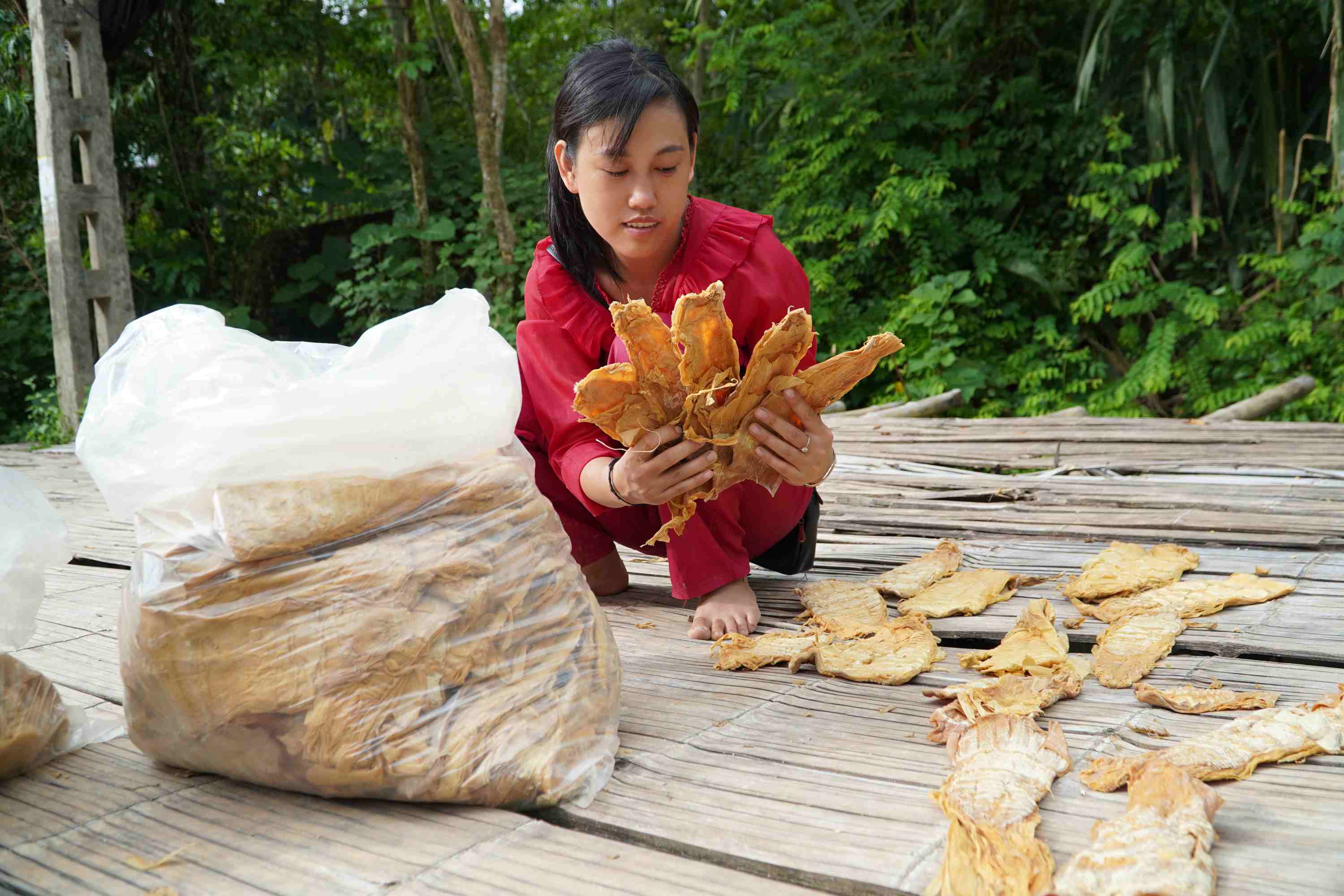 Người dân bản Nậm Cầy, xã Nậm Hàng khai thác măng, tăng thu nhập từ việc bảo vệ rừng.