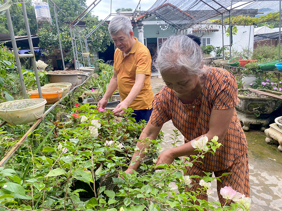 Bà con bản khu 8 (thị trấn Than Uyên) chăm sóc hoa xung quanh nhà đảm môi trường xanh, sạch, đẹp, góp phần xây dưng thị trấn Than Uyên đạt chuẩn đô thị văn minh. 