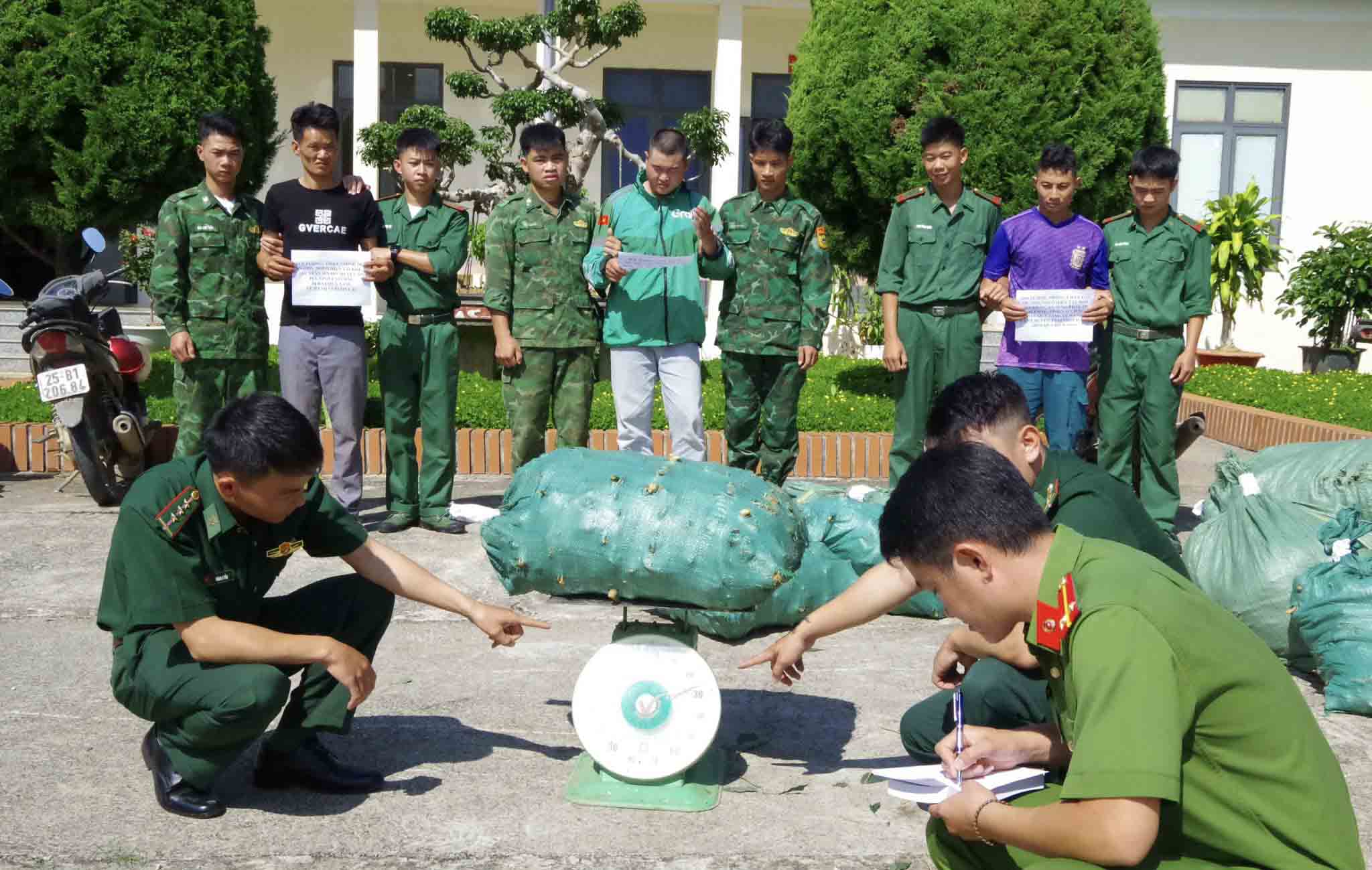 Cán bộ, chiến sỹ Đồn Biên phòng Huổi Luông phối hợp với lực lượng công an kiểm tra số củ, lá sâm mà các đối tượng Xú, Đức, Ton vận chuyển trái phép từ Trung Quốc qua biên giới vào Việt Nam.