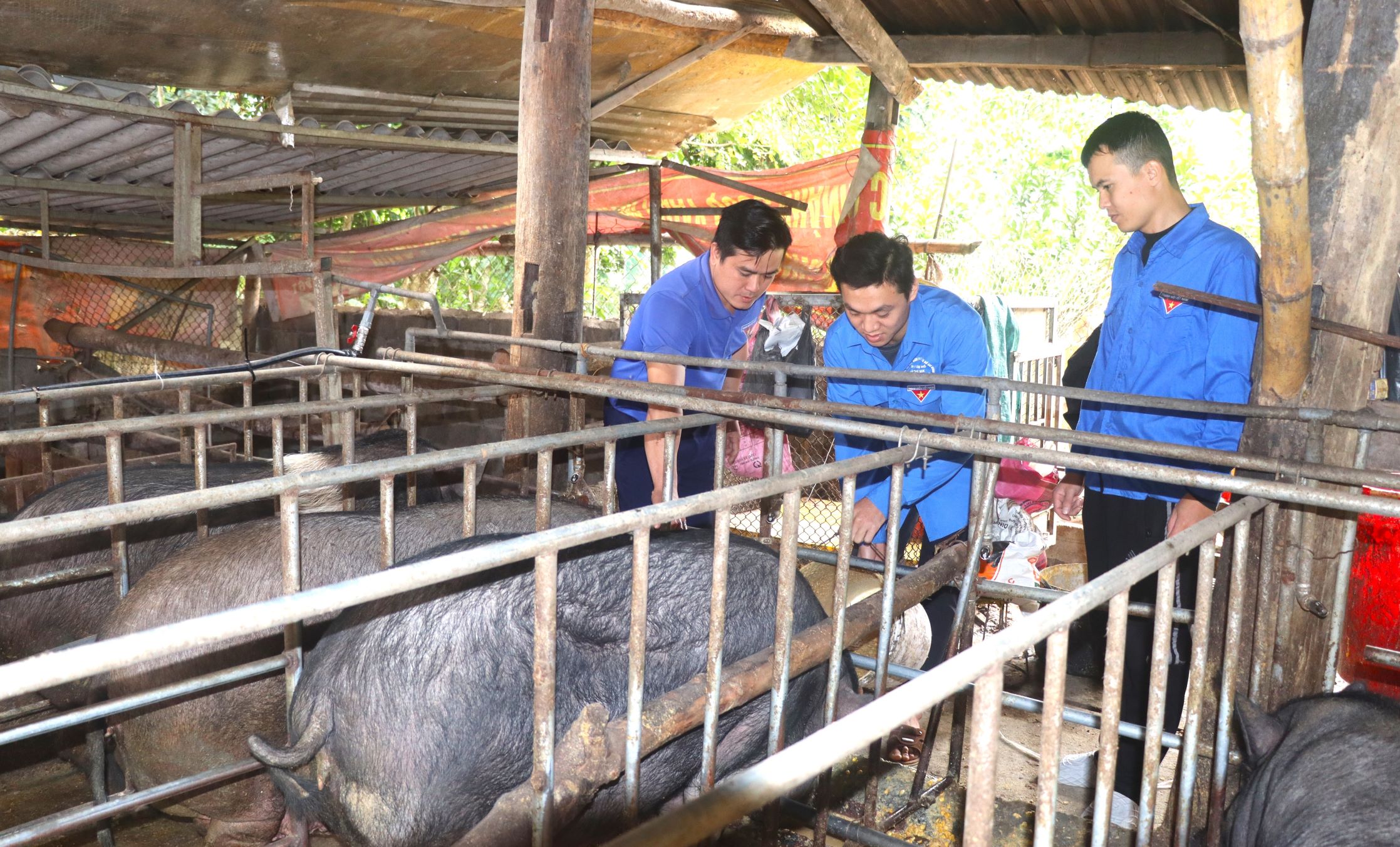 Đoàn xã Pa Tần giúp đỡ thanh niên khó khăn bản Pa Tần 3 cách làm kinh tế. 