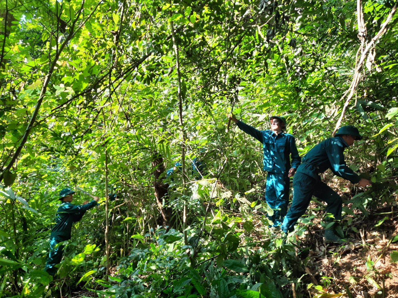 Bảo vệ và phát triển rừng, một trong những giải pháp nhằm xóa đói giảm nghèo cho người dân xã Nậm Chà.